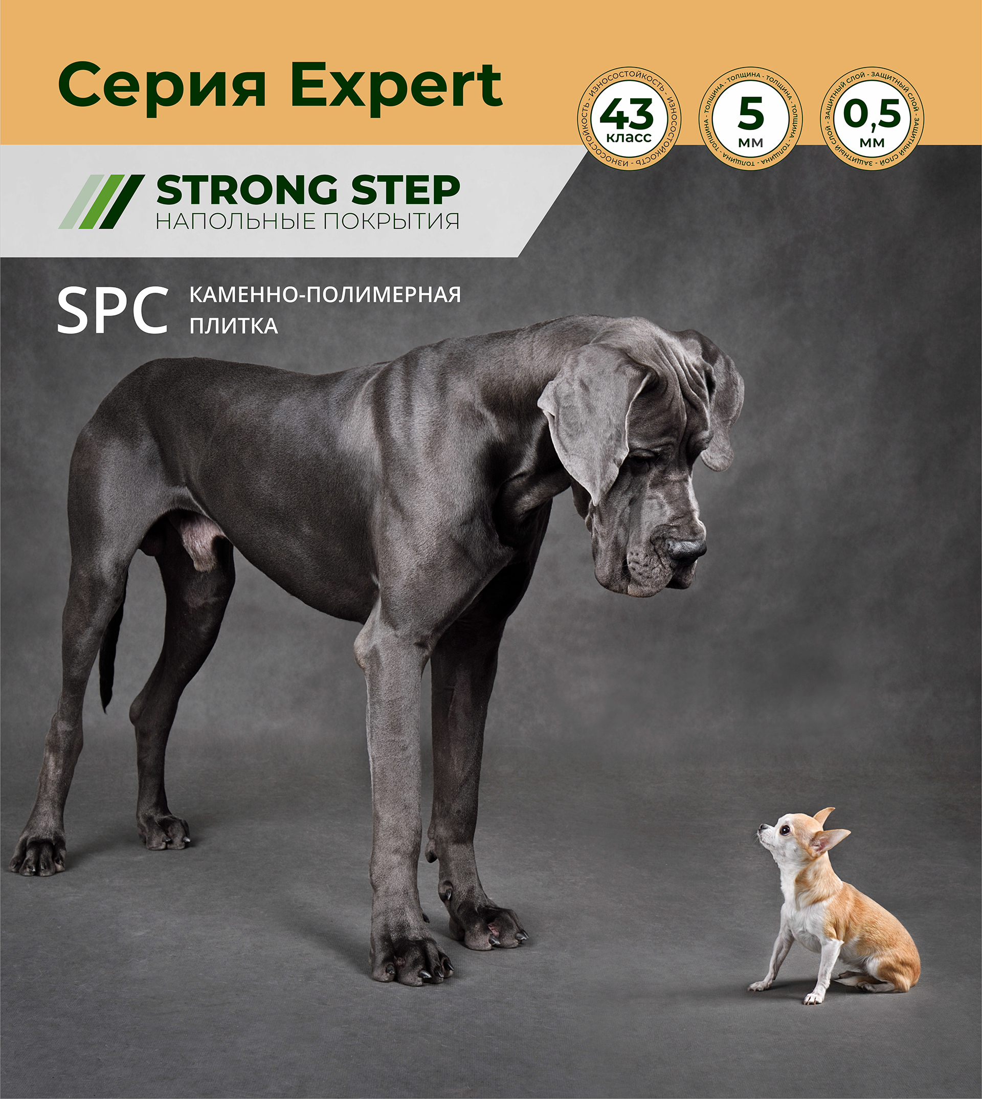 Брутализм в кабинете | Cила и характер пространства