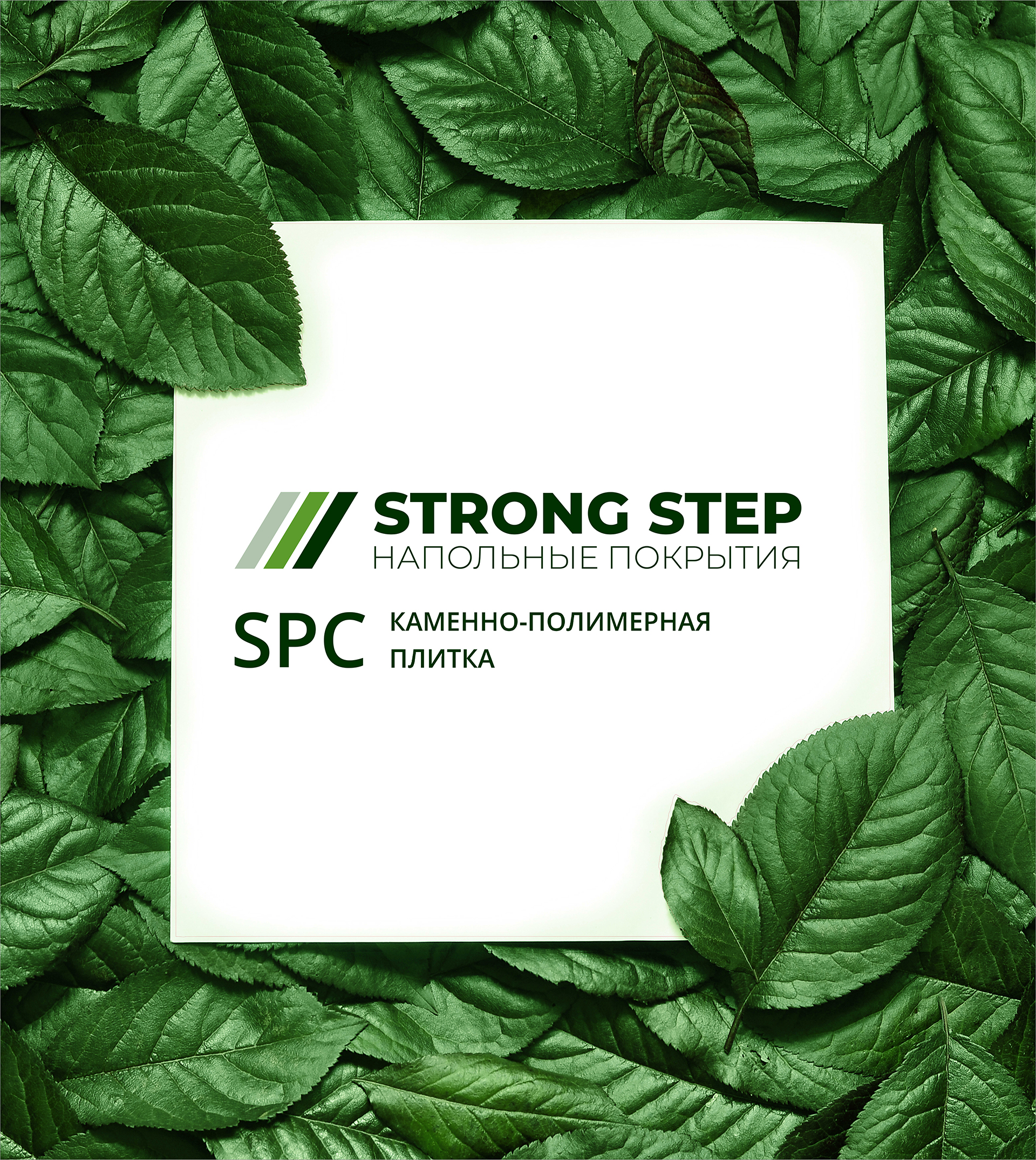 Знакомство с брендом Strong Step